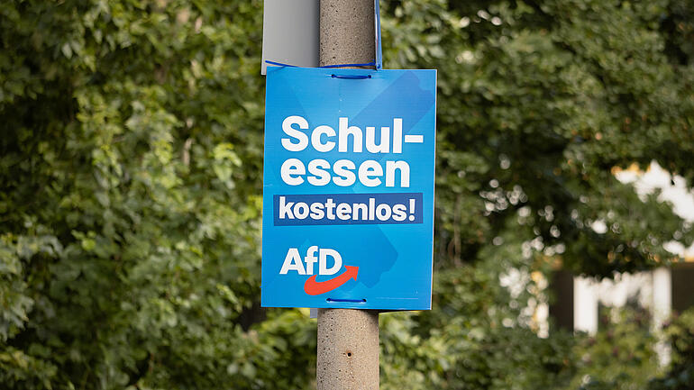 AfD Wahlplakat "Schulessen kostenlos!"